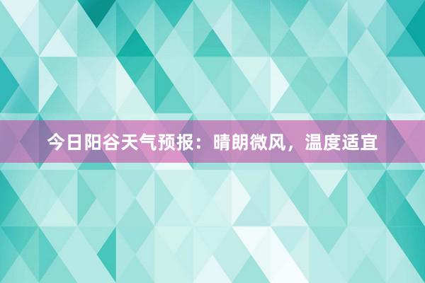 今日阳谷天气预报：晴朗微风，温度适宜